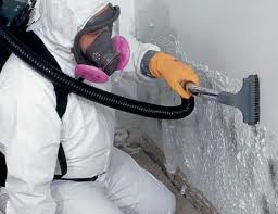 Why You Should Choose Our Mold Remediation Services in Wildwood, MO